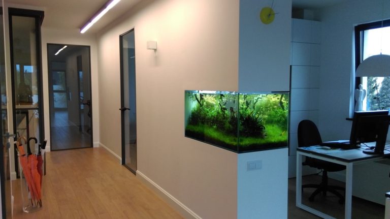 Image showcasing Small Office In wall Aquarium - Aquarium Architect- Custom Fish Tanks ...