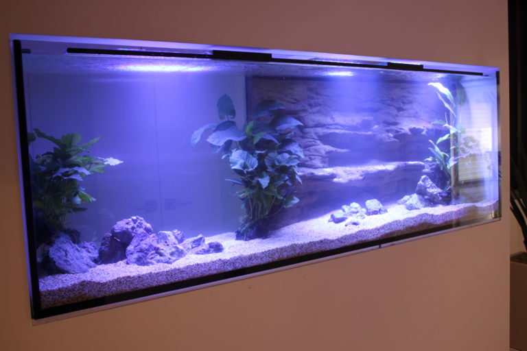 Custom Home In Wall Aquarium Architect Fish Tanks Sydney - Wall Fish Tanks Perth