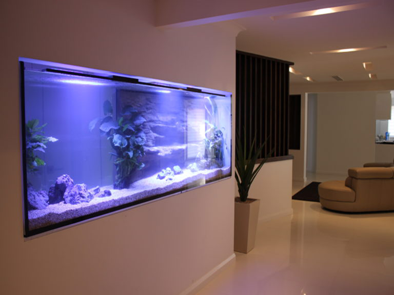 Custom Home In-Wall Aquarium - Aquarium Architect- Custom Fish