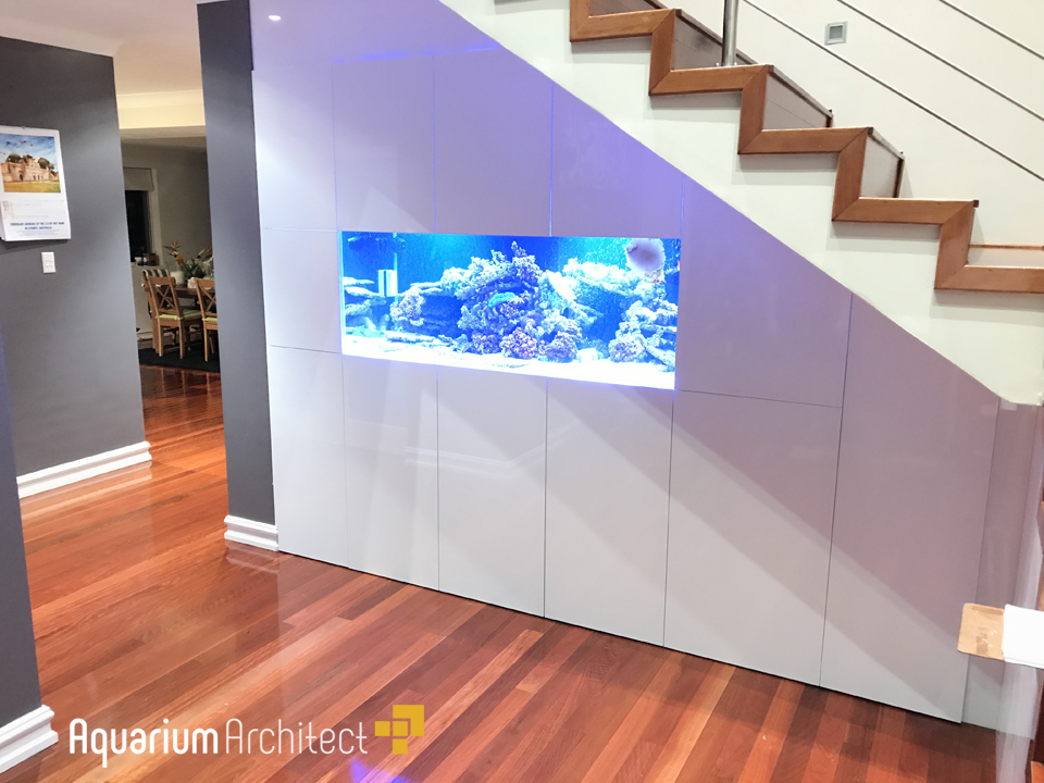 Custom In-Wall Saltwater Aquarium - Aquarium Architect- Custom Fish Tanks  Sydney