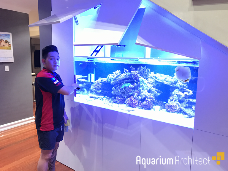 Services Aquarium Architect Custom Fish Tanks Sydney - Wall Fish Tanks Australia